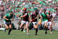LUIMNEACH V GAILLIMH IMIRT 2026-33