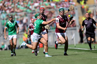 LUIMNEACH V GAILLIMH IMIRT 2026-41