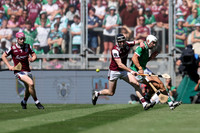 LUIMNEACH V GAILLIMH IMIRT 2026-109