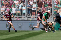 LUIMNEACH V GAILLIMH IMIRT 2026-110