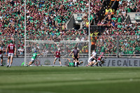 LUIMNEACH V GAILLIMH IMIRT 2026-149