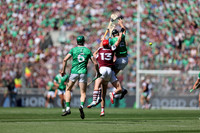 LUIMNEACH V GAILLIMH IMIRT 2026-187