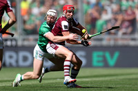LUIMNEACH V GAILLIMH IMIRT 2026-213