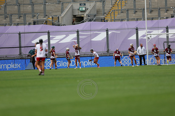 CORCAIGH GAILLIMH 2026-0028