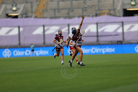CORCAIGH GAILLIMH 2026-0437