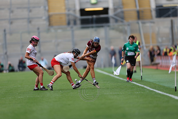 CORCAIGH GAILLIMH 2026-0450