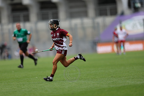 CORCAIGH GAILLIMH 2026-0469