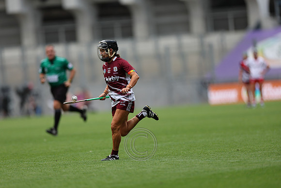 CORCAIGH GAILLIMH 2026-0470