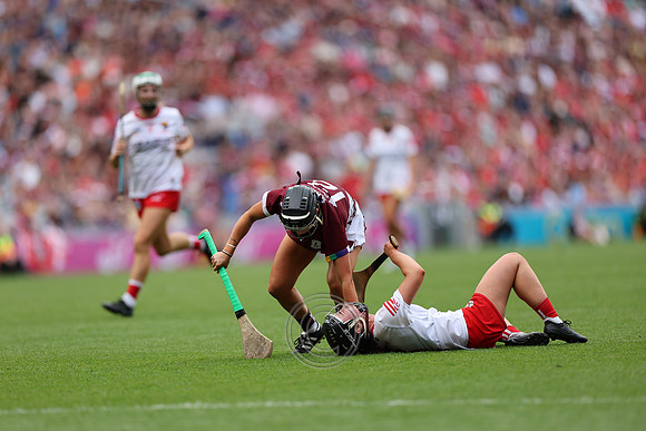 CORCAIGH GAILLIMH 2026-0493