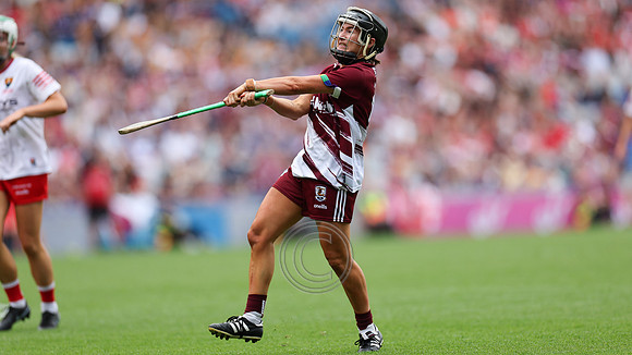 CORCAIGH GAILLIMH 2026-0502