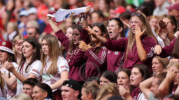 CORCAIGH GAILLIMH 2026-1095