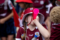 CORCAIGH GAILLIMH 2026-0143