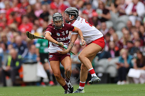 CORCAIGH V GAILLIMH 2026-8534