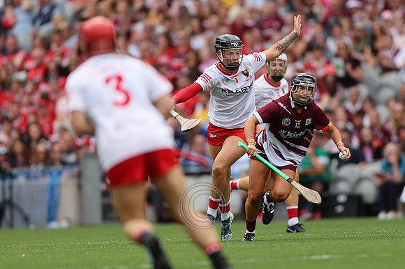 CORCAIGH V GAILLIMH 2026-8539