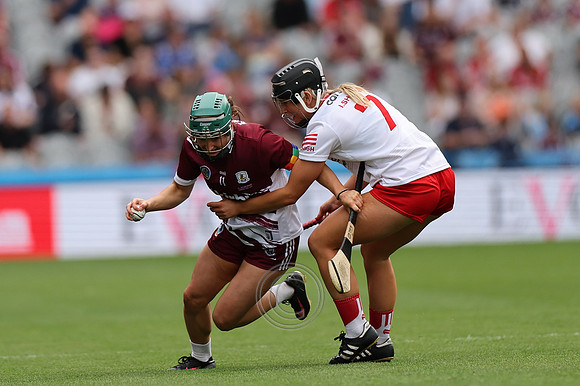 CORCAIGH V GAILLIMH 2026-8557