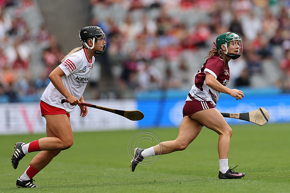 CORCAIGH V GAILLIMH 2026-8571