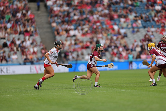 CORCAIGH V GAILLIMH 2026-8572
