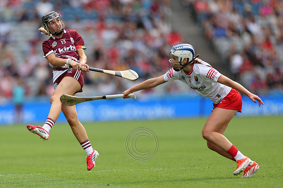 CORCAIGH V GAILLIMH 2026-8603