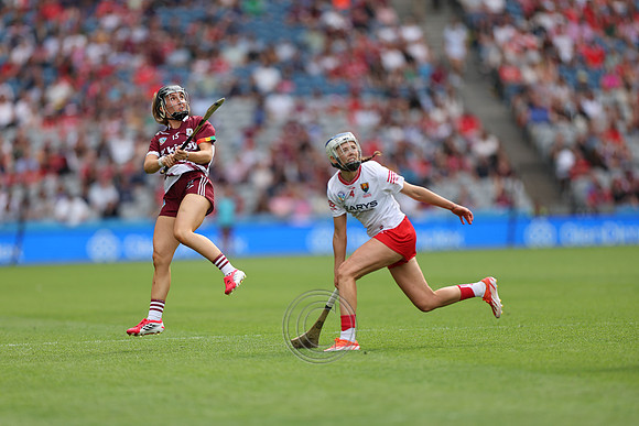 CORCAIGH V GAILLIMH 2026-8608