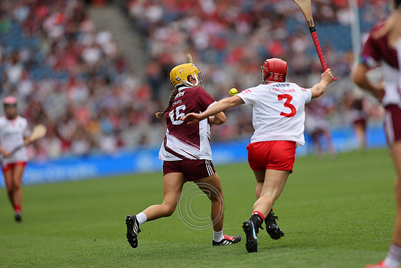 CORCAIGH V GAILLIMH 2026-8646