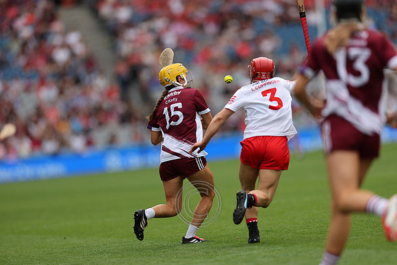 CORCAIGH V GAILLIMH 2026-8648