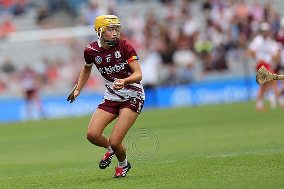 CORCAIGH V GAILLIMH 2026-8687