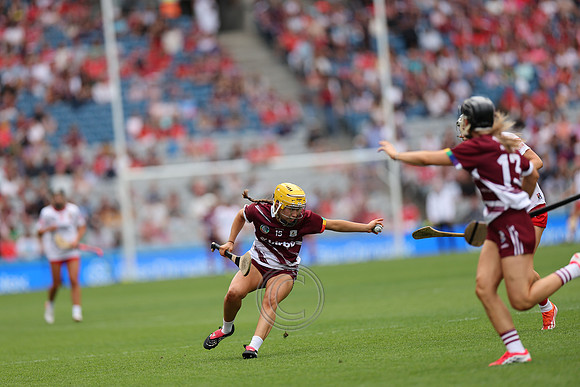 CORCAIGH V GAILLIMH 2026-8695