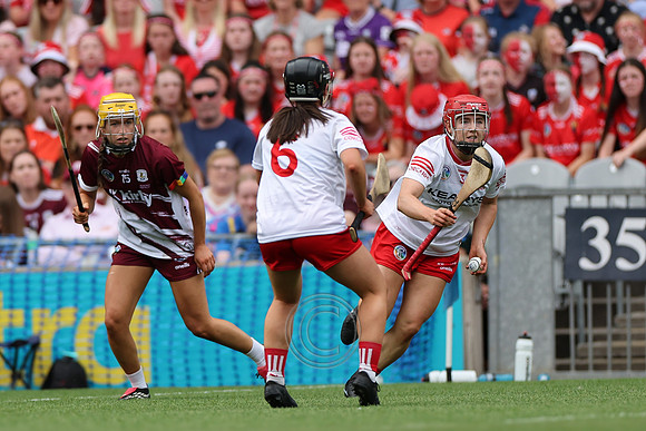 CORCAIGH V GAILLIMH 2026-8754