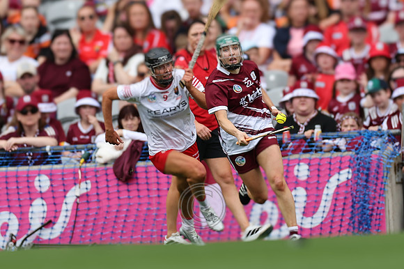 CORCAIGH V GAILLIMH 2026-8827