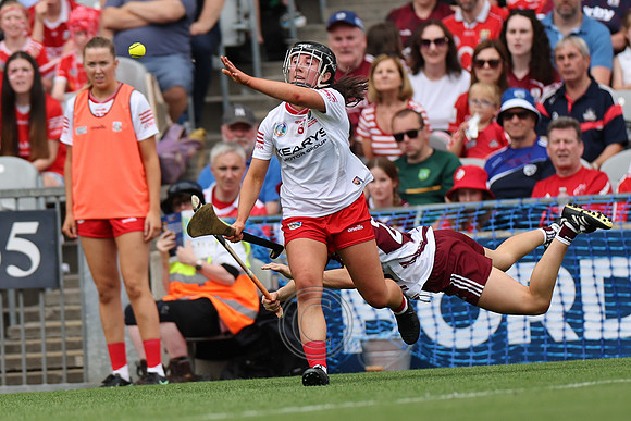 CORCAIGH V GAILLIMH 2026-8856