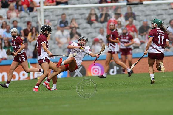 CORCAIGH V GAILLIMH 2026-8896