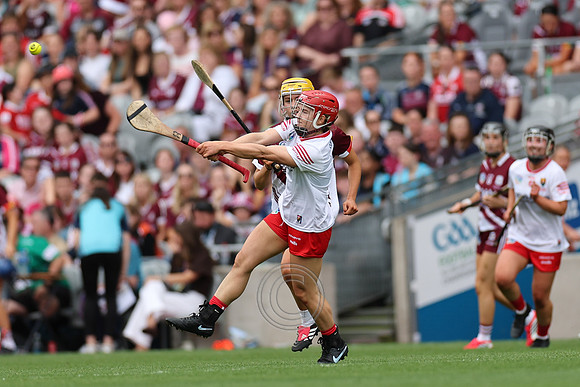CORCAIGH V GAILLIMH 2026-8890