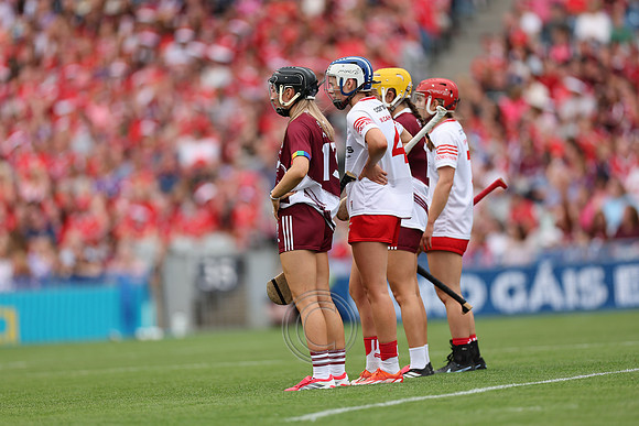 CORCAIGH V GAILLIMH 2026-8909