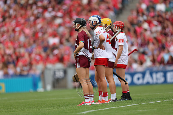 CORCAIGH V GAILLIMH 2026-8910