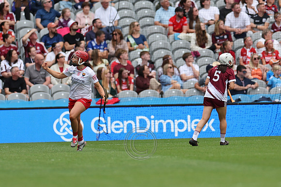 CORCAIGH V GAILLIMH 2026-8920