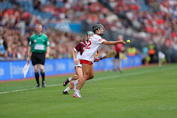CORCAIGH V GAILLIMH 2026-9050