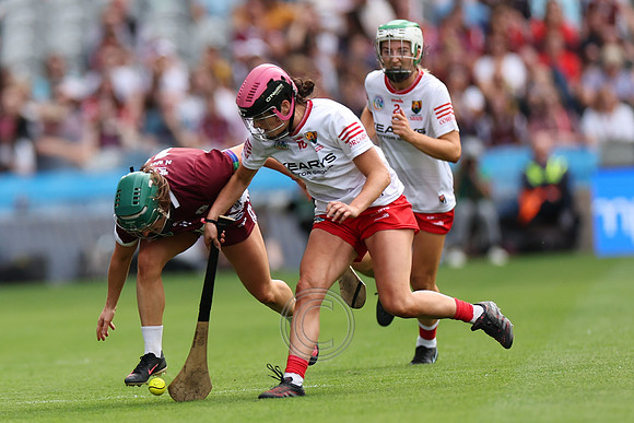 CORCAIGH V GAILLIMH 2026-9119