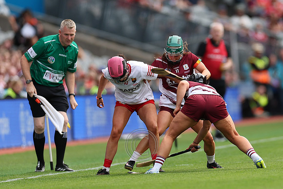 CORCAIGH V GAILLIMH 2026-9131