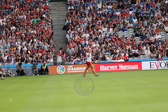 CORCAIGH V GAILLIMH 2026-9236