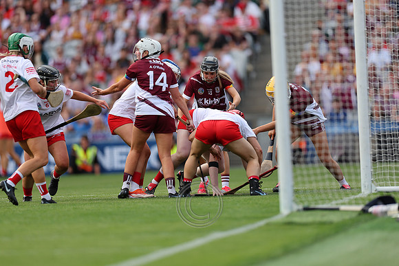 CORCAIGH V GAILLIMH 2026-9305