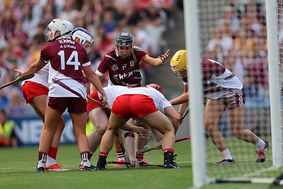 CORCAIGH V GAILLIMH 2026-9310