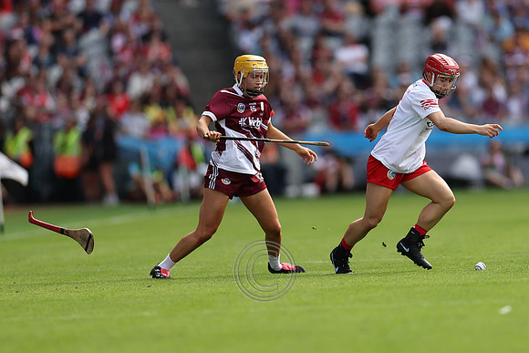 CORCAIGH V GAILLIMH 2026-9504