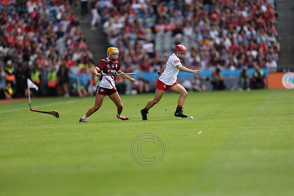 CORCAIGH V GAILLIMH 2026-9505