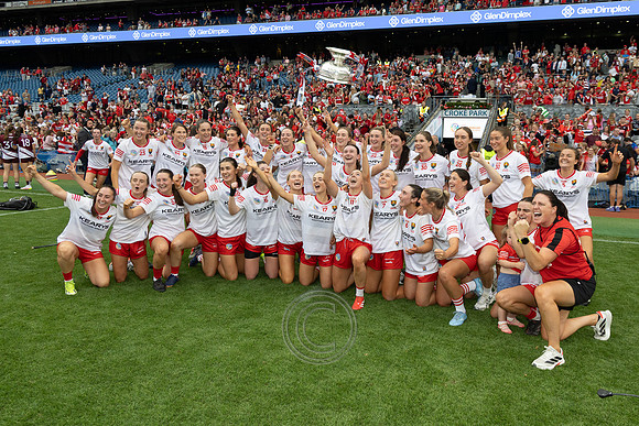 CORCAIGH GAILLIMH 2026-0289