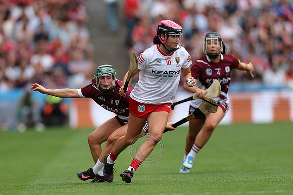 CORCAIGH V GAILLIMH 2026-9031
