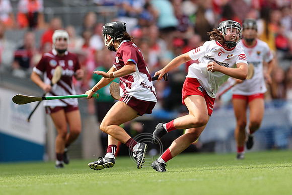 CORCAIGH V GAILLIMH 2026-9727