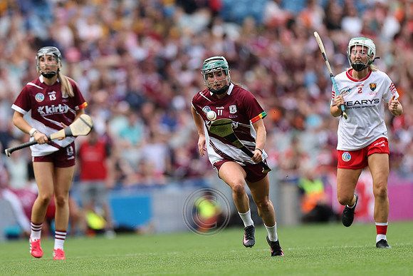 CORCAIGH V GAILLIMH 2026-9916