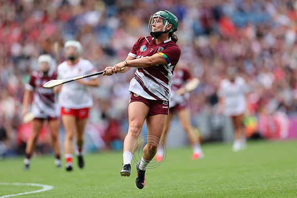 CORCAIGH V GAILLIMH 2026-9958