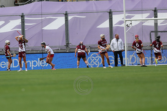 CORCAIGH GAILLIMH 2026-0028