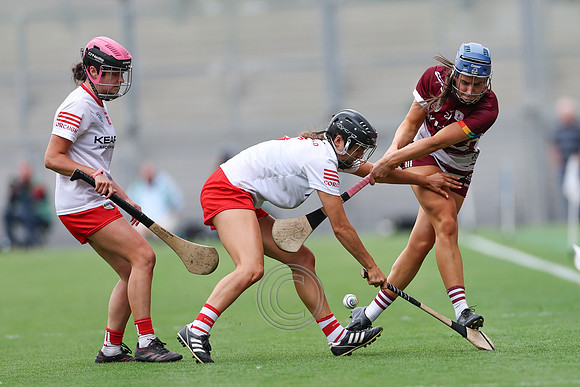 CORCAIGH GAILLIMH 2026-0450